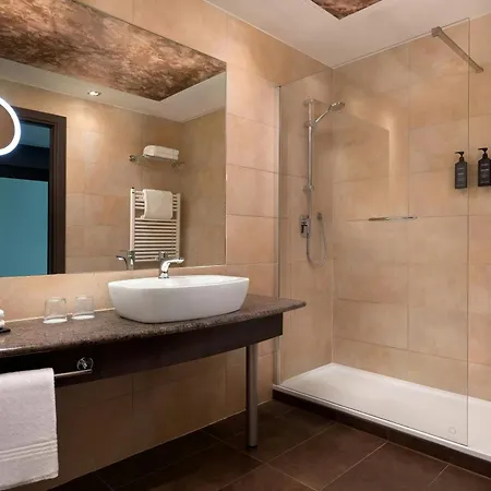 Sheraton Milan Malpensa Airport & Conference Centre Hotel Ferno