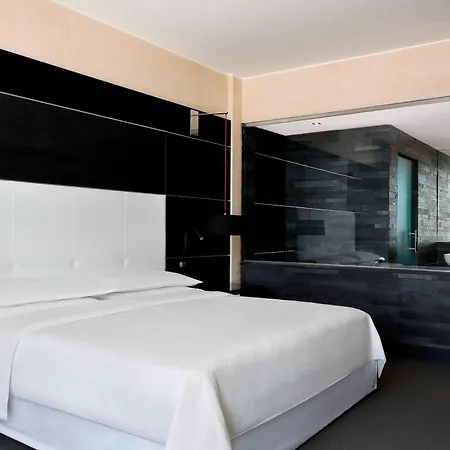 Hotel Sheraton Milan Malpensa Airport & Conference Centre Ferno