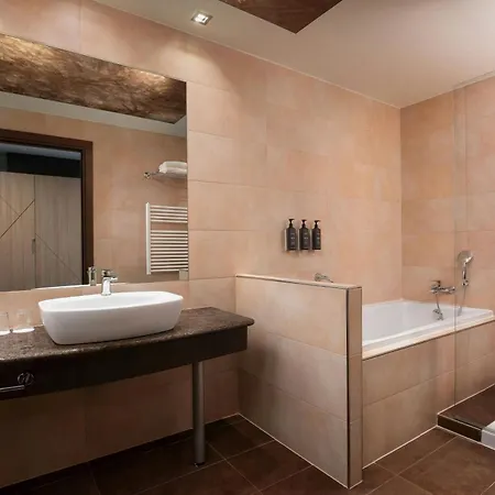 Sheraton Milan Malpensa Airport & Conference Centre 4*
